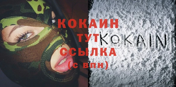 СК Ельня