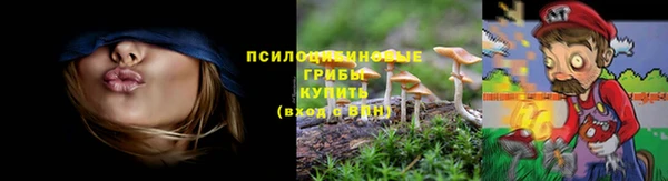 прущая мука Армянск