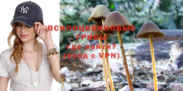 прущая мука Армянск