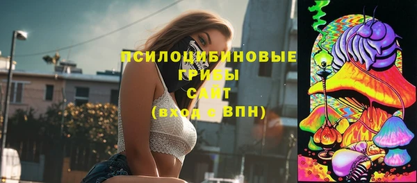 прущая мука Армянск